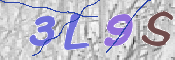 To prevent spam, please prove you are a real person by typing the characters you see in this box into the box below.