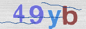 To prevent spam, please prove you are a real person by typing the characters you see in this box into the box below.