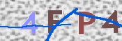 To prevent spam, please prove you are a real person by typing the characters you see in this box into the box below.