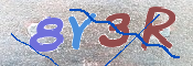 To prevent spam, please prove you are a real person by typing the characters you see in this box into the box below.