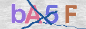 To prevent spam, please prove you are a real person by typing the characters you see in this box into the box below.