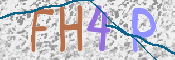 To prevent spam, please prove you are a real person by typing the characters you see in this box into the box below.