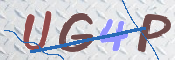To prevent spam, please prove you are a real person by typing the characters you see in this box into the box below.