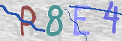 To prevent spam, please prove you are a real person by typing the characters you see in this box into the box below.
