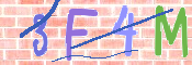 To prevent spam, please prove you are a real person by typing the characters you see in this box into the box below.