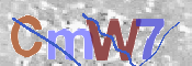 To prevent spam, please prove you are a real person by typing the characters you see in this box into the box below.