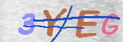 To prevent spam, please prove you are a real person by typing the characters you see in this box into the box below.