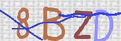 To prevent spam, please prove you are a real person by typing the characters you see in this box into the box below.