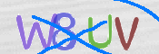 To prevent spam, please prove you are a real person by typing the characters you see in this box into the box below.