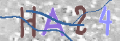 To prevent spam, please prove you are a real person by typing the characters you see in this box into the box below.