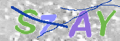 To prevent spam, please prove you are a real person by typing the characters you see in this box into the box below.