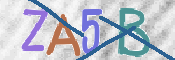 To prevent spam, please prove you are a real person by typing the characters you see in this box into the box below.