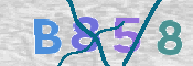 To prevent spam, please prove you are a real person by typing the characters you see in this box into the box below.