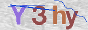 To prevent spam, please prove you are a real person by typing the characters you see in this box into the box below.