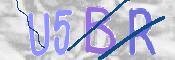 To prevent spam, please prove you are a real person by typing the characters you see in this box into the box below.