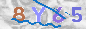 To prevent spam, please prove you are a real person by typing the characters you see in this box into the box below.