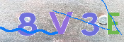 To prevent spam, please prove you are a real person by typing the characters you see in this box into the box below.