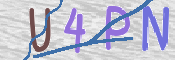 To prevent spam, please prove you are a real person by typing the characters you see in this box into the box below.