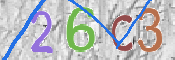 To prevent spam, please prove you are a real person by typing the characters you see in this box into the box below.