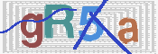 To prevent spam, please prove you are a real person by typing the characters you see in this box into the box below.