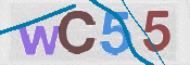 To prevent spam, please prove you are a real person by typing the characters you see in this box into the box below.