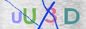 To prevent spam, please prove you are a real person by typing the characters you see in this box into the box below.