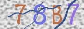 To prevent spam, please prove you are a real person by typing the characters you see in this box into the box below.