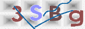 To prevent spam, please prove you are a real person by typing the characters you see in this box into the box below.