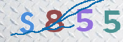 To prevent spam, please prove you are a real person by typing the characters you see in this box into the box below.