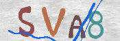 To prevent spam, please prove you are a real person by typing the characters you see in this box into the box below.