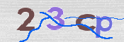 To prevent spam, please prove you are a real person by typing the characters you see in this box into the box below.