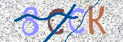 To prevent spam, please prove you are a real person by typing the characters you see in this box into the box below.