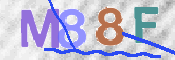 To prevent spam, please prove you are a real person by typing the characters you see in this box into the box below.