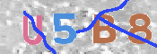 To prevent spam, please prove you are a real person by typing the characters you see in this box into the box below.