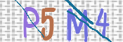 To prevent spam, please prove you are a real person by typing the characters you see in this box into the box below.