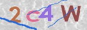 To prevent spam, please prove you are a real person by typing the characters you see in this box into the box below.