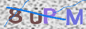 To prevent spam, please prove you are a real person by typing the characters you see in this box into the box below.