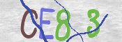 To prevent spam, please prove you are a real person by typing the characters you see in this box into the box below.