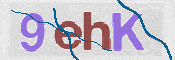 To prevent spam, please prove you are a real person by typing the characters you see in this box into the box below.