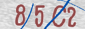 To prevent spam, please prove you are a real person by typing the characters you see in this box into the box below.