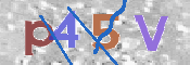 To prevent spam, please prove you are a real person by typing the characters you see in this box into the box below.