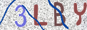 To prevent spam, please prove you are a real person by typing the characters you see in this box into the box below.
