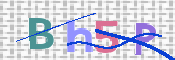 To prevent spam, please prove you are a real person by typing the characters you see in this box into the box below.
