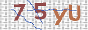 To prevent spam, please prove you are a real person by typing the characters you see in this box into the box below.