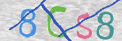 To prevent spam, please prove you are a real person by typing the characters you see in this box into the box below.