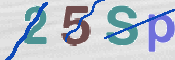 To prevent spam, please prove you are a real person by typing the characters you see in this box into the box below.