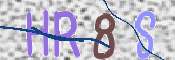 To prevent spam, please prove you are a real person by typing the characters you see in this box into the box below.