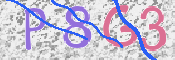 To prevent spam, please prove you are a real person by typing the characters you see in this box into the box below.