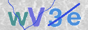 To prevent spam, please prove you are a real person by typing the characters you see in this box into the box below.