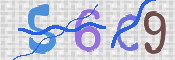 To prevent spam, please prove you are a real person by typing the characters you see in this box into the box below.
